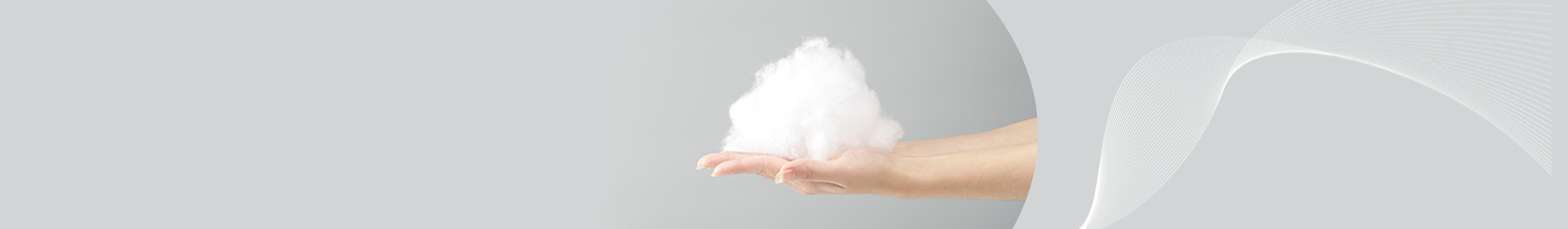 Z6·尊龙「中国」官方网站