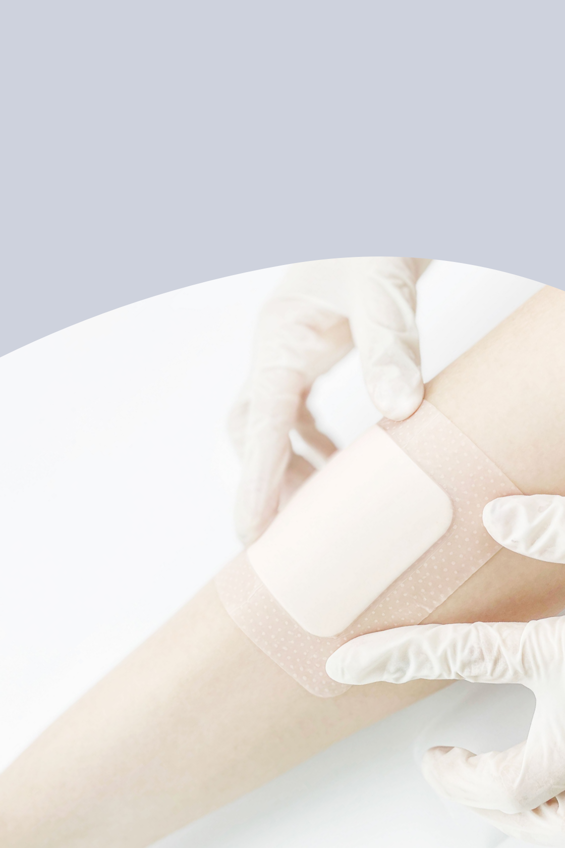 Z6·尊龙「中国」官方网站