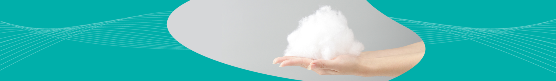 Z6·尊龙「中国」官方网站